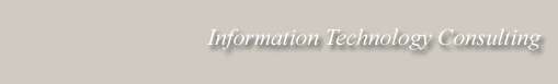 EmmeEffe I.T. Services